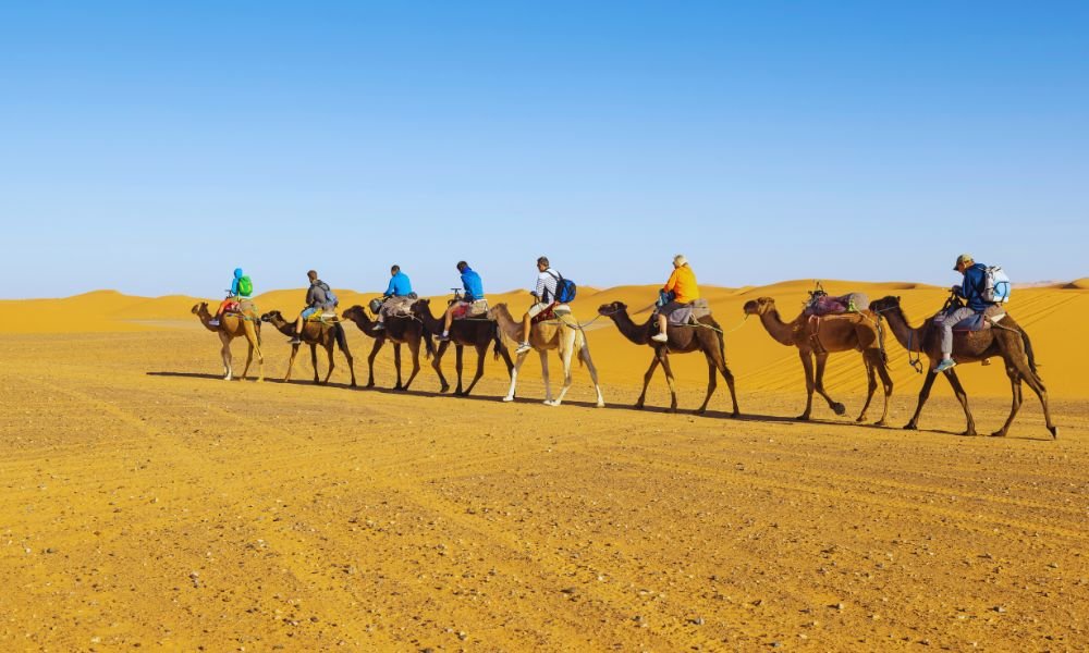 10-Day Desert Tour from Tangier